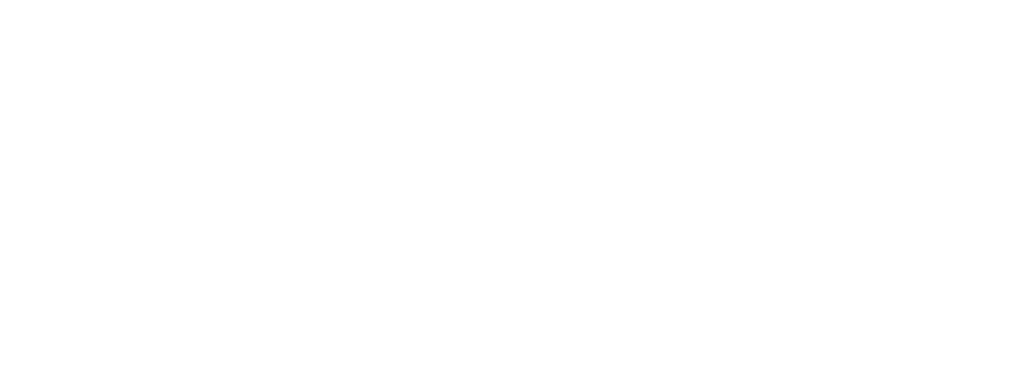 Logo ProBlocks